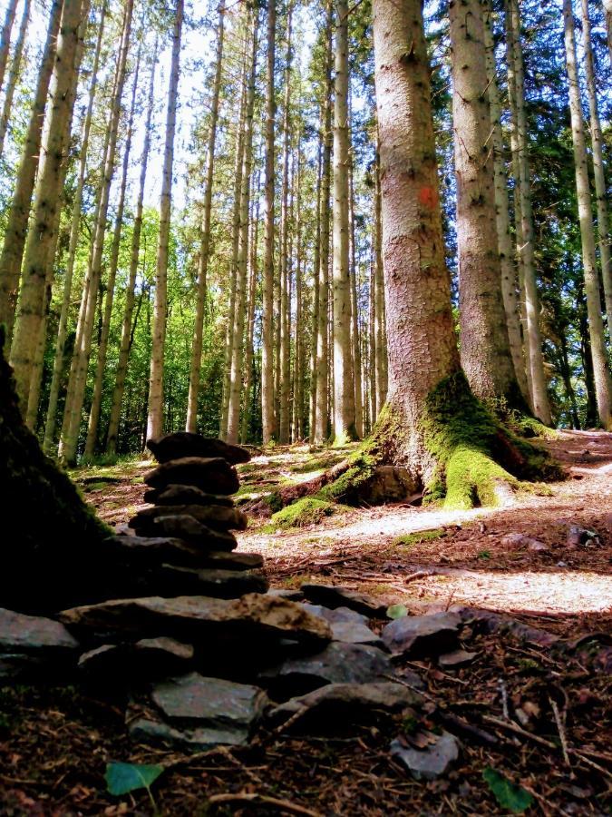 La Roche En Ardenne , Welcome ภายนอก รูปภาพ